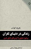 زندگی در دنیای لغزان