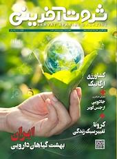 فصلنامه ثروت آفرینی شماره 6