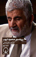 پروفسور محمود ایوب