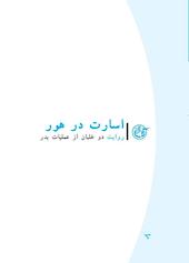 اسارت در هور، روایت دو خلبان از عملیات بدر جلد 8