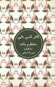 کتاب کاش کسی جایی منتظرم باشد اثر آنا گاوالدا نشر شمشاد