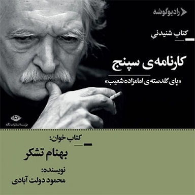 کارنامه ی سپنج