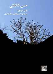 حس شگفتی