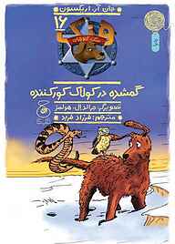 کتاب  گمشده در کولاک کورکننده جلد 16 نشر کتاب چ