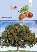 بلوط