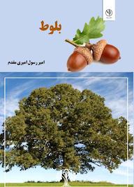 کتاب بلوط اثر امیر رسول امیری مقدم نشر بید