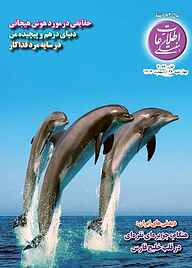 کتاب اطلاعات هفتگی شماره 4062 نشر اطلاعات هفتگی -  