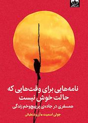 کتاب نامههایی برای وقتهایی که حالت خوش نیست اثر جولی اسمیت نشر میلکان