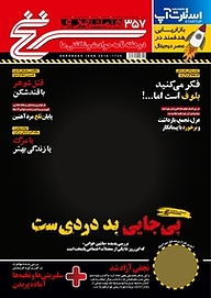 کتاب دوهفته نامه سرنخ شماره 357 نشر گروه مجلات همشهری -  