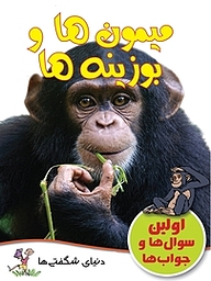 کتاب میمون ها و بوزینه ها نشر گنجینه دانش نوین   