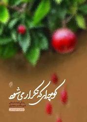 کتاب کوچهای که تکرار میشود اثر طاهره کوه کن نشر حماسه یاران