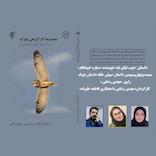 جیب قبای ننه