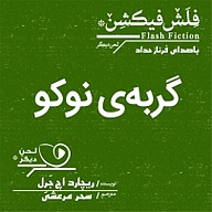 گربه ی نوکو