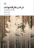 درخت‌ها رفته بودند