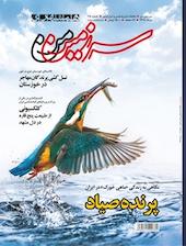 ماهنامه سرزمین من شماره 115
