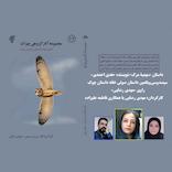 سهمیه مرگ