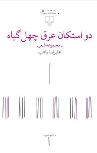 کتاب دو استکان عرق چهل گیاه نشر چشمه   