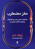 مغز مضطرب