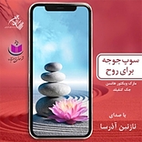 سوپ جوجه برای روح