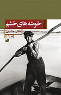خوشه های خشم
