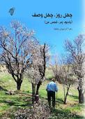 چهل روز چهل وصف