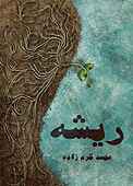 ریشه