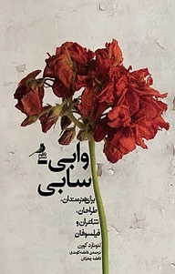 وابی  سابی