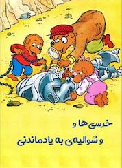 کتاب خرس ها و شوالیه ی به یادماندنی اثر استن برنستین نشر رمز