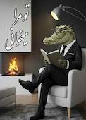 تو مرا میخوانی
