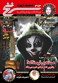 کتاب دوهفته نامه سرنخ شماره 373 نشر گروه مجلات همشهری -  
