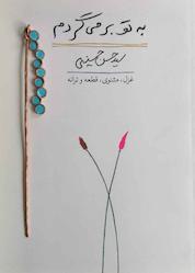 کتاب به تو برمیگردم اثر سیدحسن حسینی نشر کتاب آبی
