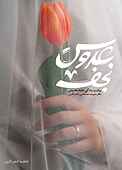 عروس نجف