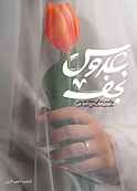 عروس نجف