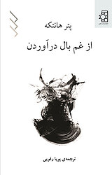 از غم بال درآوردن