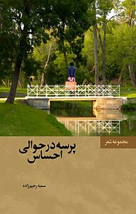 پرسه در حوالی احساس