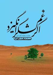 کتاب اگر غم لشگر انگیزد جلد 2 اثر مهدی شجاعی نشر انتشارات کتاب نیستان هنر