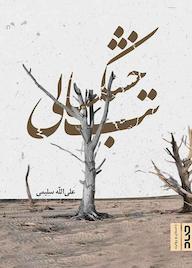 کتاب تب خشکسالی علی‌الله سلیمی نشر صاد