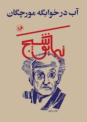 کتاب آب در خوابگه مورچگان اثر نیما یوشیج نشر انتشارات امیرکبیر