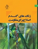زنگ های گندم اصلاح برای مقاومت
