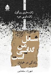 کتاب شغل من گدایی است اثر ژان ماری روگول نشر قطره