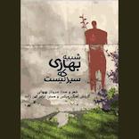 شبیه بهاری که سبز نیست