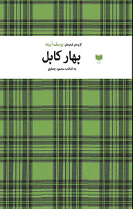 کتاب بهار کابل نشر آمو   