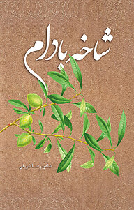 کتاب شاخه بادام نشر چهار درخت   