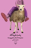 پشت فرودگاه