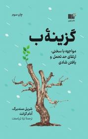 کتاب گزینه ب اثر شریل سندبرگ نشر نوین