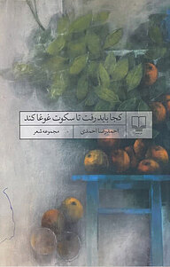 کتاب کجا باید رفت تا سکوت غوغا کند نشر چشمه   