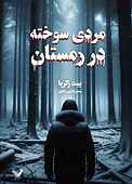 مردی سوخته در زمستان جلد 1