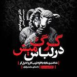 گرگ در لباس میش