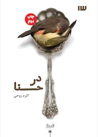 کتاب در حنا اثر اکرم روحی نشر انتشارات سیزده