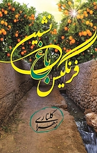 کتاب فرنگیس باغ نشین نشر اهورا قلم   